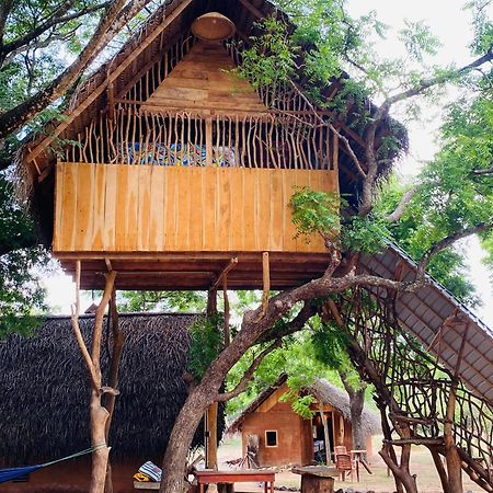 Yala Village Eco Tree House ティッサマハーラーマ エクステリア 写真