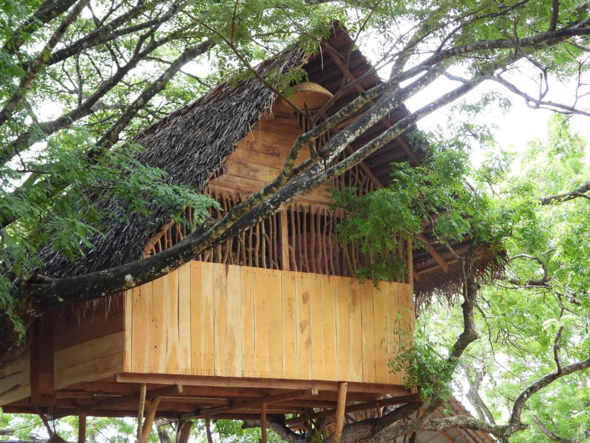 Yala Village Eco Tree House ティッサマハーラーマ エクステリア 写真