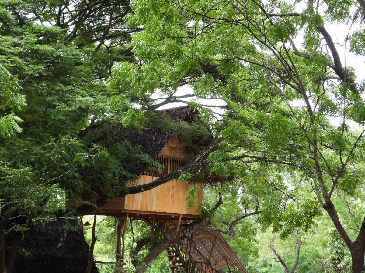 Yala Village Eco Tree House ティッサマハーラーマ エクステリア 写真