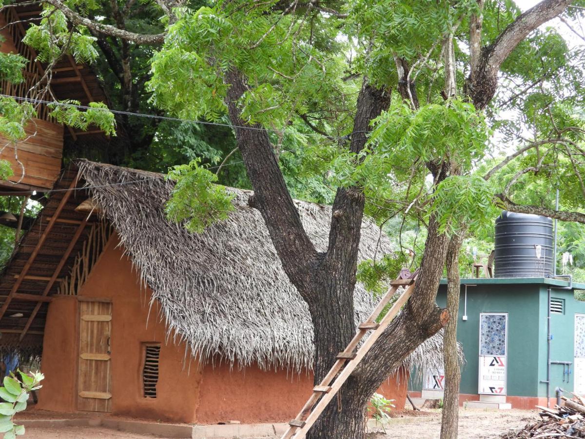 Yala Village Eco Tree House ティッサマハーラーマ エクステリア 写真
