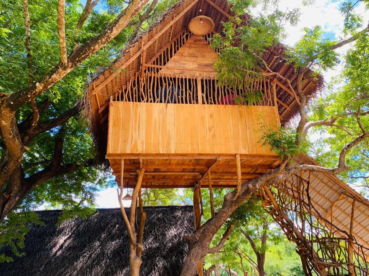 Yala Village Eco Tree House ティッサマハーラーマ エクステリア 写真