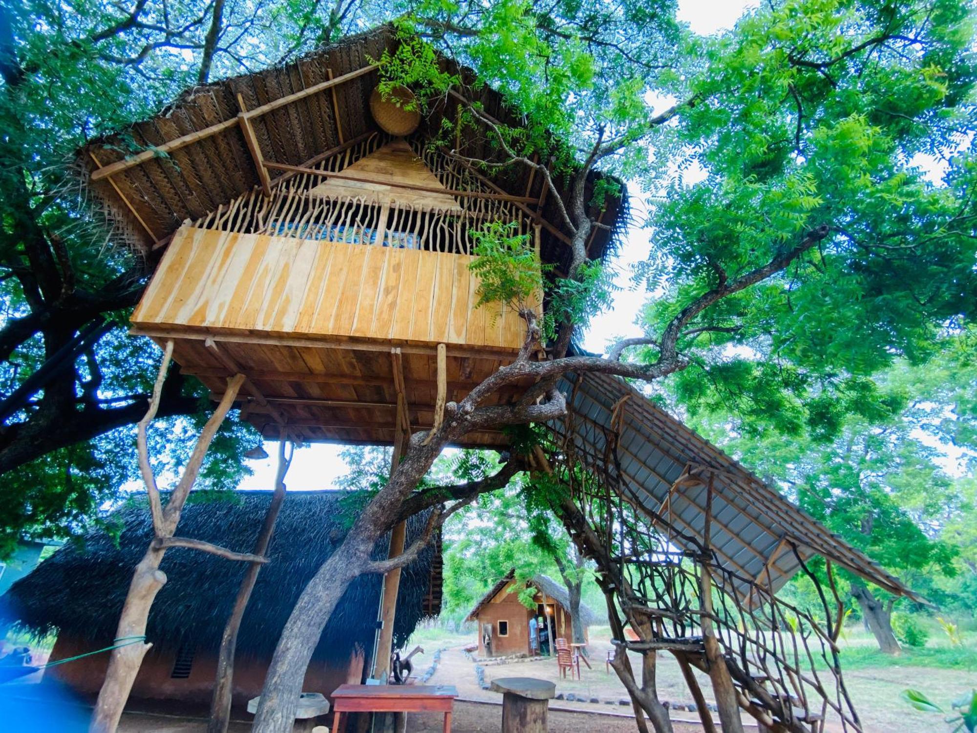 Yala Village Eco Tree House ティッサマハーラーマ エクステリア 写真