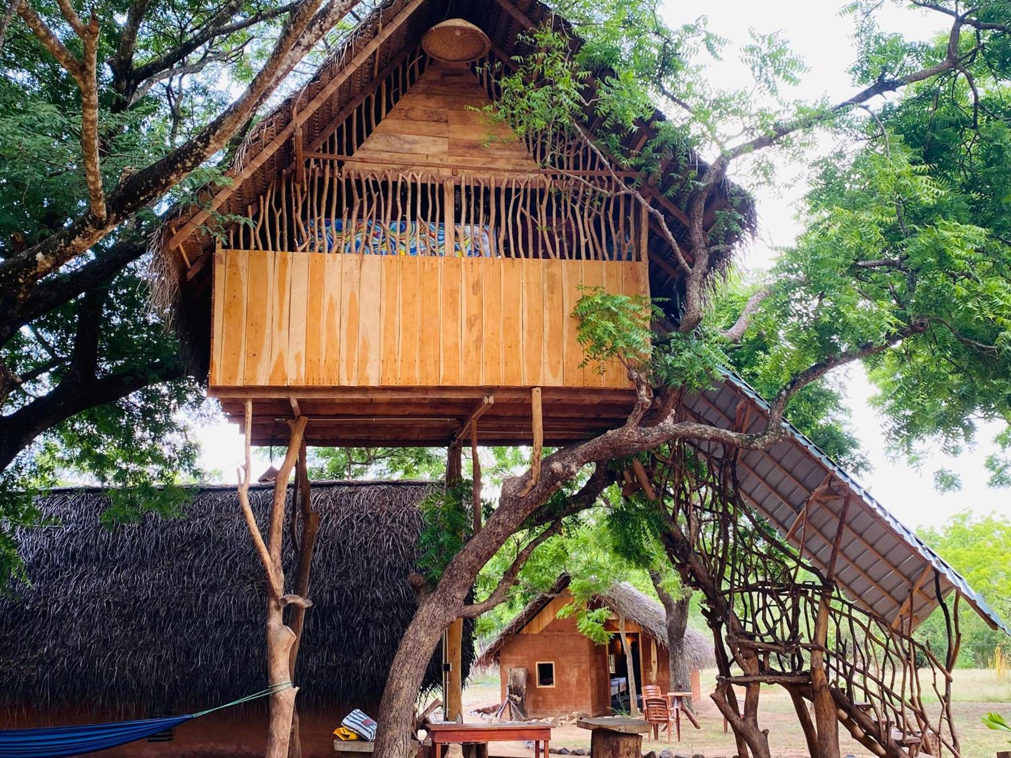 Yala Village Eco Tree House ティッサマハーラーマ エクステリア 写真