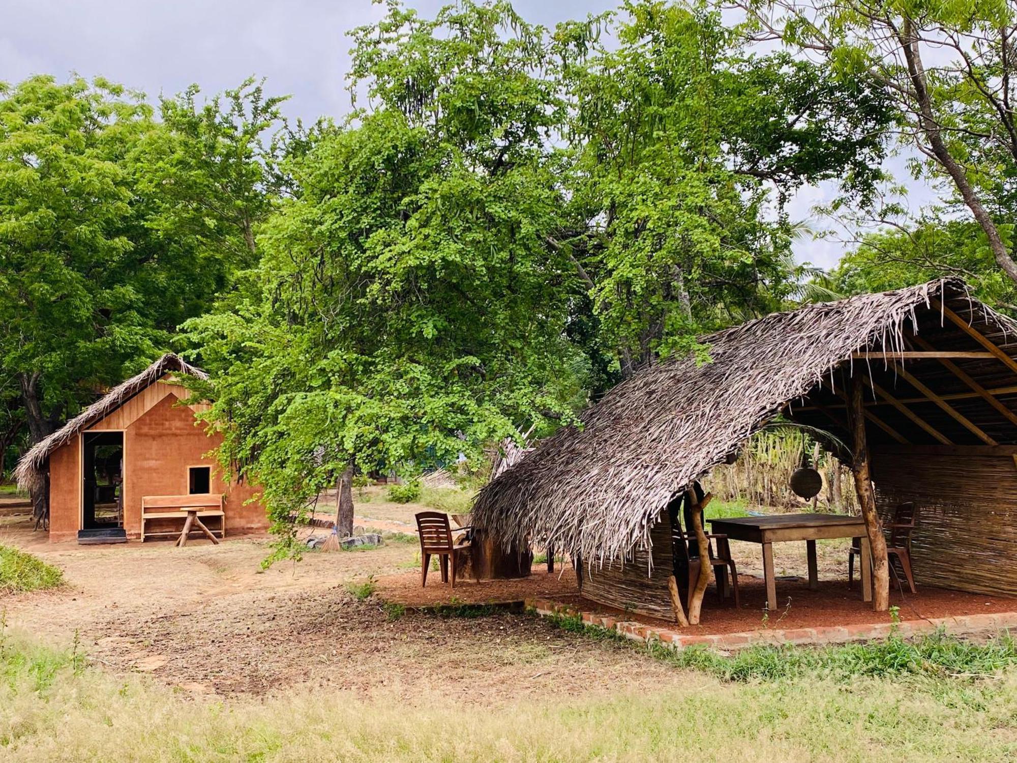 Yala Village Eco Tree House ティッサマハーラーマ エクステリア 写真