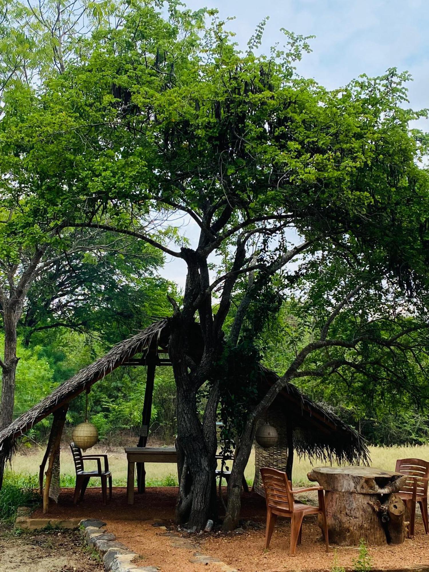Yala Village Eco Tree House ティッサマハーラーマ エクステリア 写真