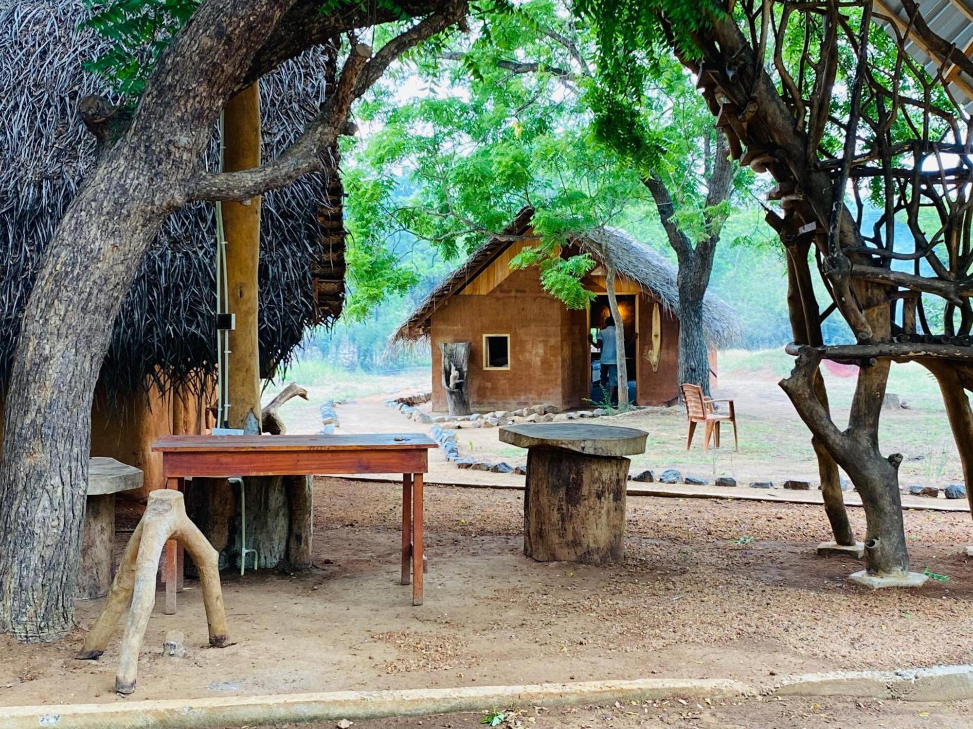 Yala Village Eco Tree House ティッサマハーラーマ エクステリア 写真