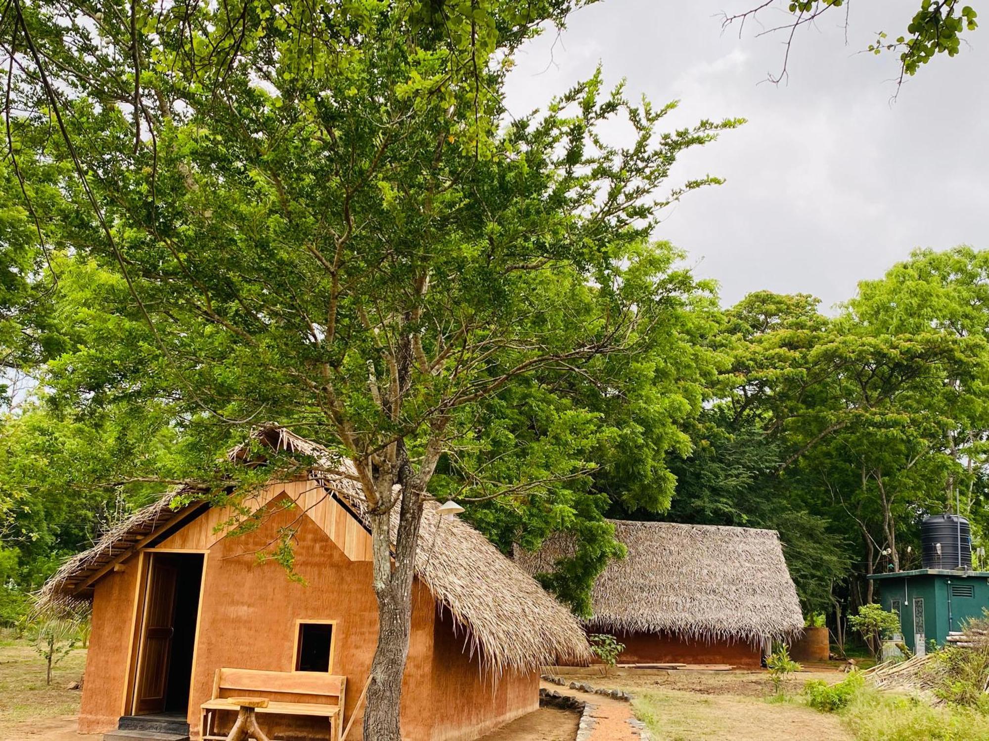 Yala Village Eco Tree House ティッサマハーラーマ エクステリア 写真
